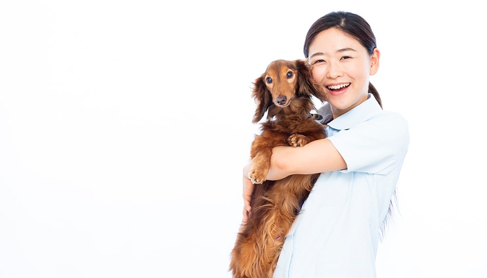 犬を抱くスタッフ